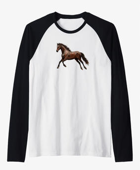 Horse lovers Raglan