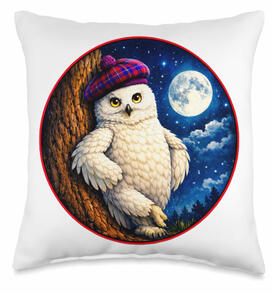 Funny Owl pillow