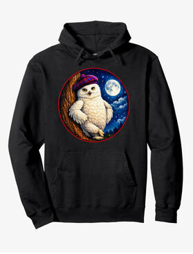 Funny Owl hoodie