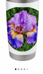 Iris flower lover Tumblr