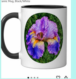 Iris mug
