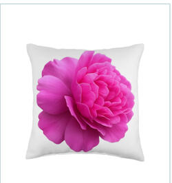 Rose Pillow Floral Decor