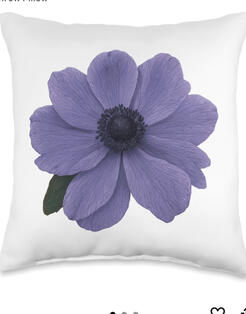 Floral Blue Poppy photo art home decor